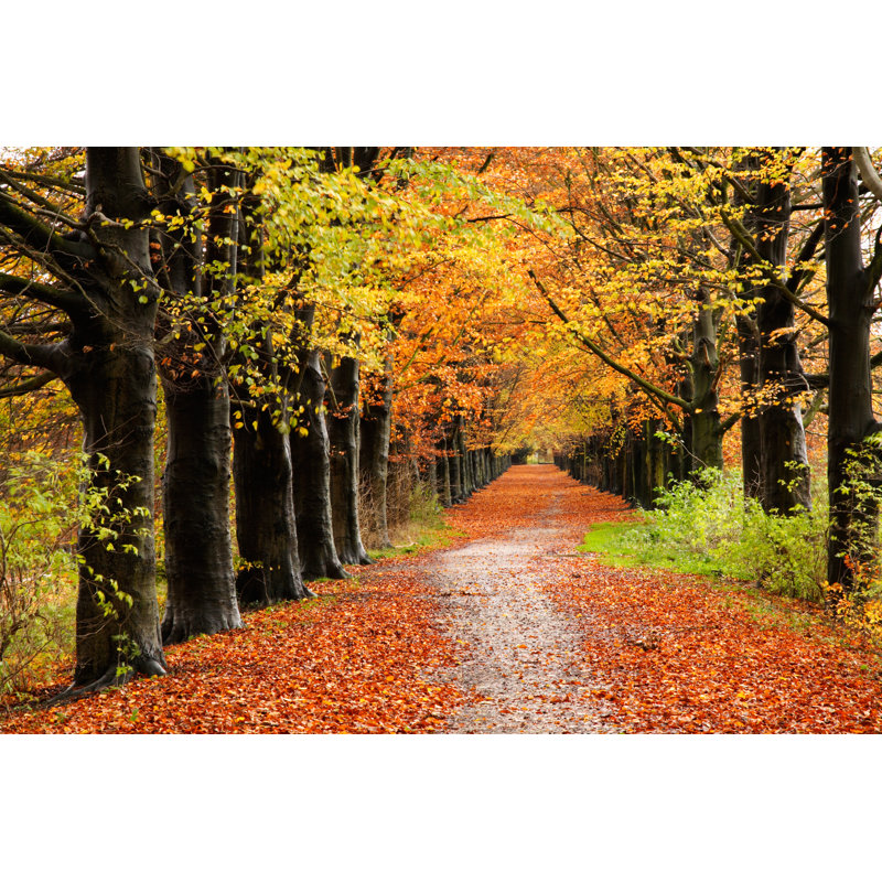 Autumn Lane - No Frame Print on Canvas, 81cm H x 122cm W