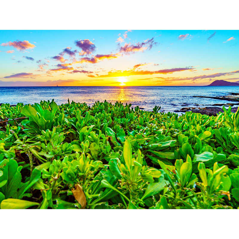 Flower Sunset At Paradise Cove, Hawaii Print by Brian Mc Clean, Wrapped Canvas, 24" H x 32" W