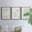 Verdure Ferns VII - ensemble de 3 peintures sur toile encadrées-1899046576-1899046542