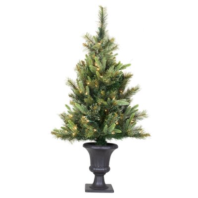 Pre-Lit Cashmere 3.5' Green Pine Artificial Christmas Tree with Multicolored lights -  The Holiday AisleÂ®, HLDY2386 32358218