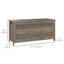 Coffre de rangement avec 2 charnières, banc de rangement, gris vieilli