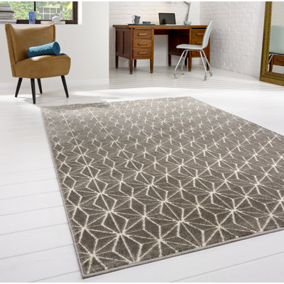 Larissa Geometric Area Rug