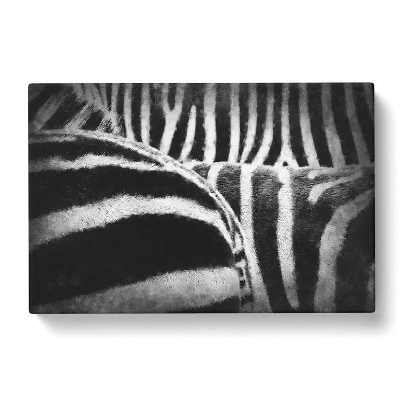 The Stripes Of The Zebra - Wrapped Canvas Print, 60cm H x 91cm W x 4cm D