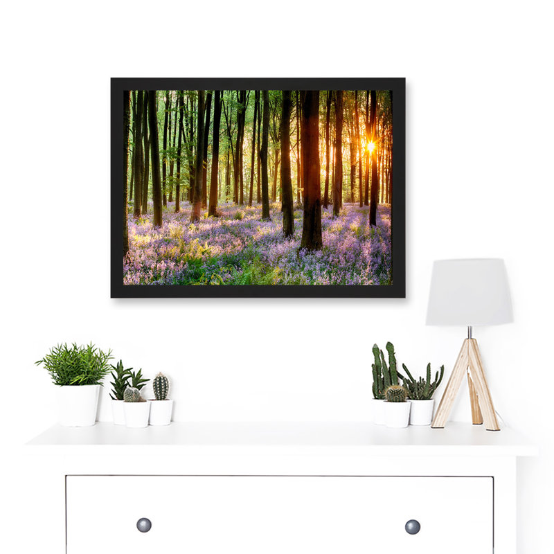Bluebell Wood Sunrise Trees Photo - Single Picture Frame Art Prints