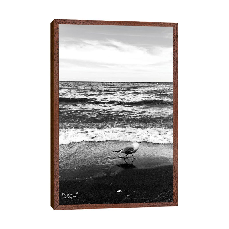 Seagull I by Donnie Quillen - Print on Canvas, 101.6cm H x 66.04cm W x 3.81cm D, Classic Brown Wood Framed