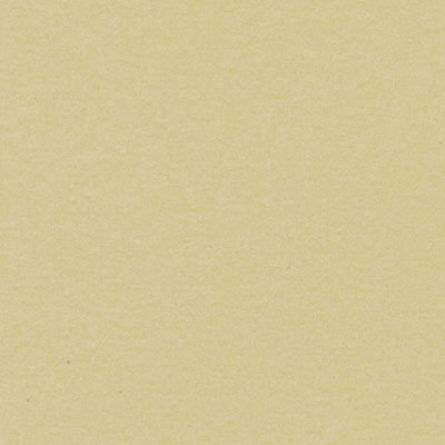 Tissu Paramount