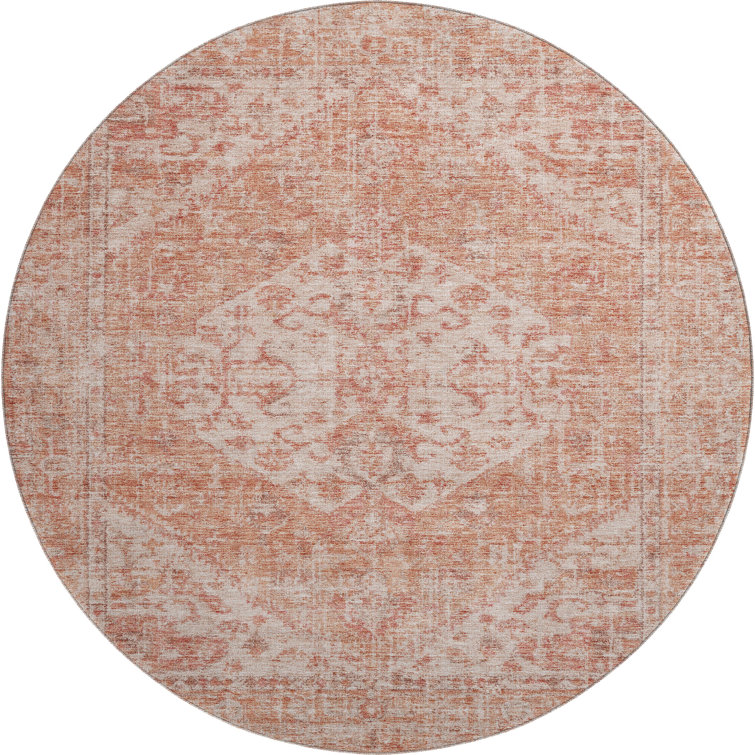 Premium Machine Washable Wayne AMF1104 Global Rug
