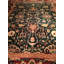 Agra Wool Oriental Area Rug in Red/Black