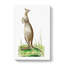 Great Kangaroo by George Shaw - Wrapped Canvas-55304569