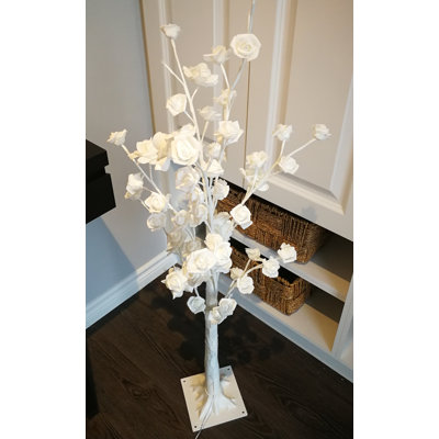 Plante florale à lumières del rose