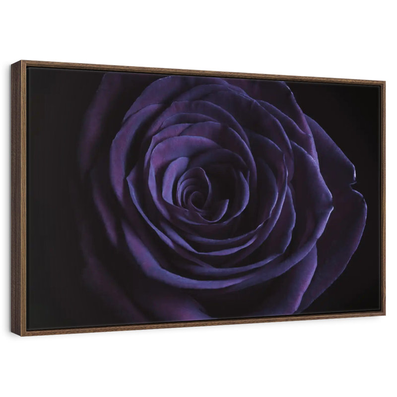 Rose mauve en fleurs, Cadre flottant doré, 31 po x 21 po