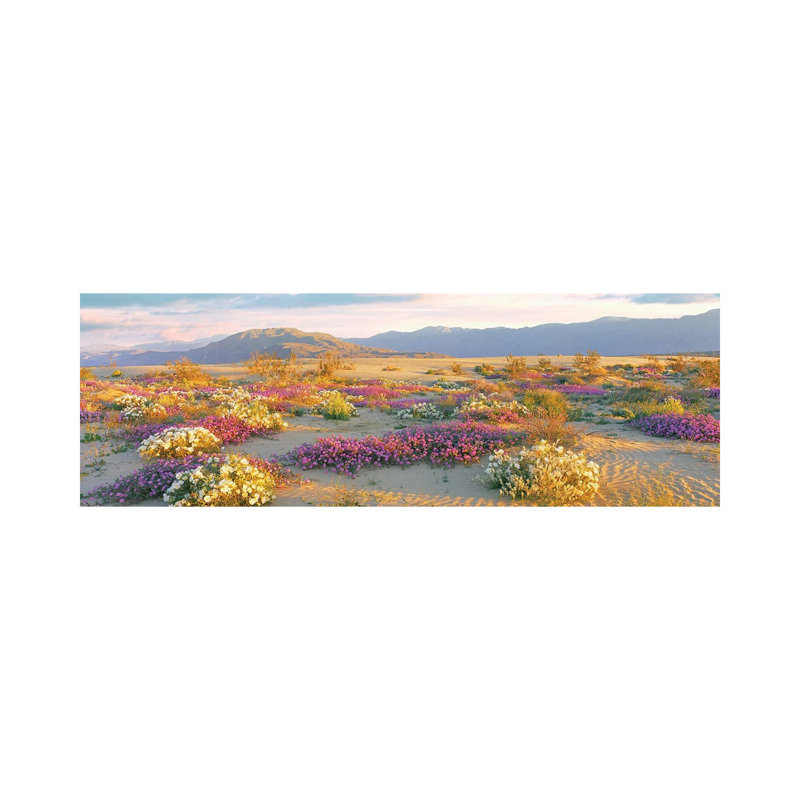 Sand Verbena And Primrose Growing In Sand Dunes Of Anza-Borrego Desert State Park, California, USA - Wrapped Canvas Panoramic Print
