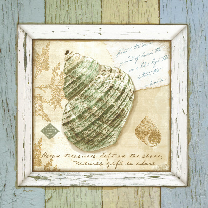 Sea Treasures VI - Wrapped Canvas Print, 122cm H x 122cm W x 3.8cm D