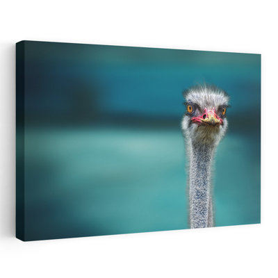 Curious Ostrich Portrait Contemporary Bird Wall Art Print by Piet Flour - Wrapped Canvas Print