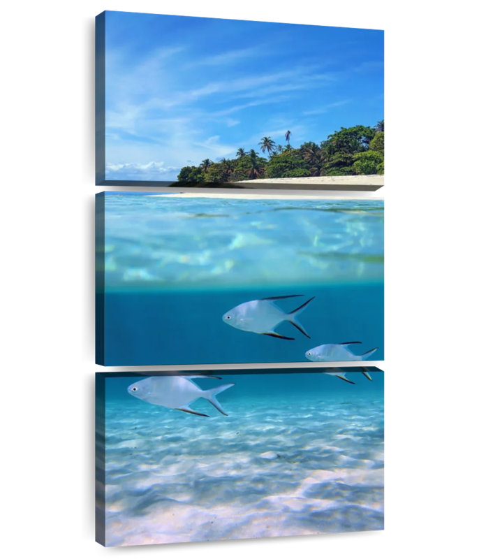 Underwater Palometa Fish