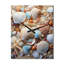 Photo de plage coquillage beauté I - Horloges murales animaux-99629801