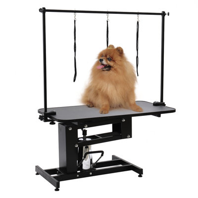 Niagara 260cm H x 110cm W x 61cm D Metal Adjustable Hydraulic Grooming Table