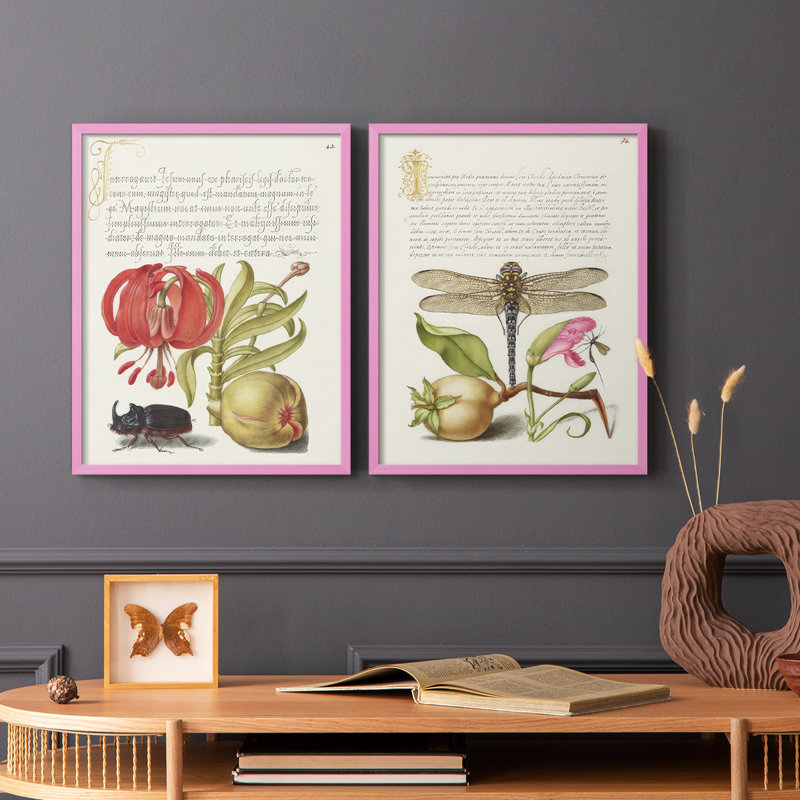 Reproduction encadrée Hoefnagel de spéculations tropicales de qualité supérieure - prêt à accrocher - aucun clou requis, Rose