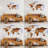Wooden World Map - Brown