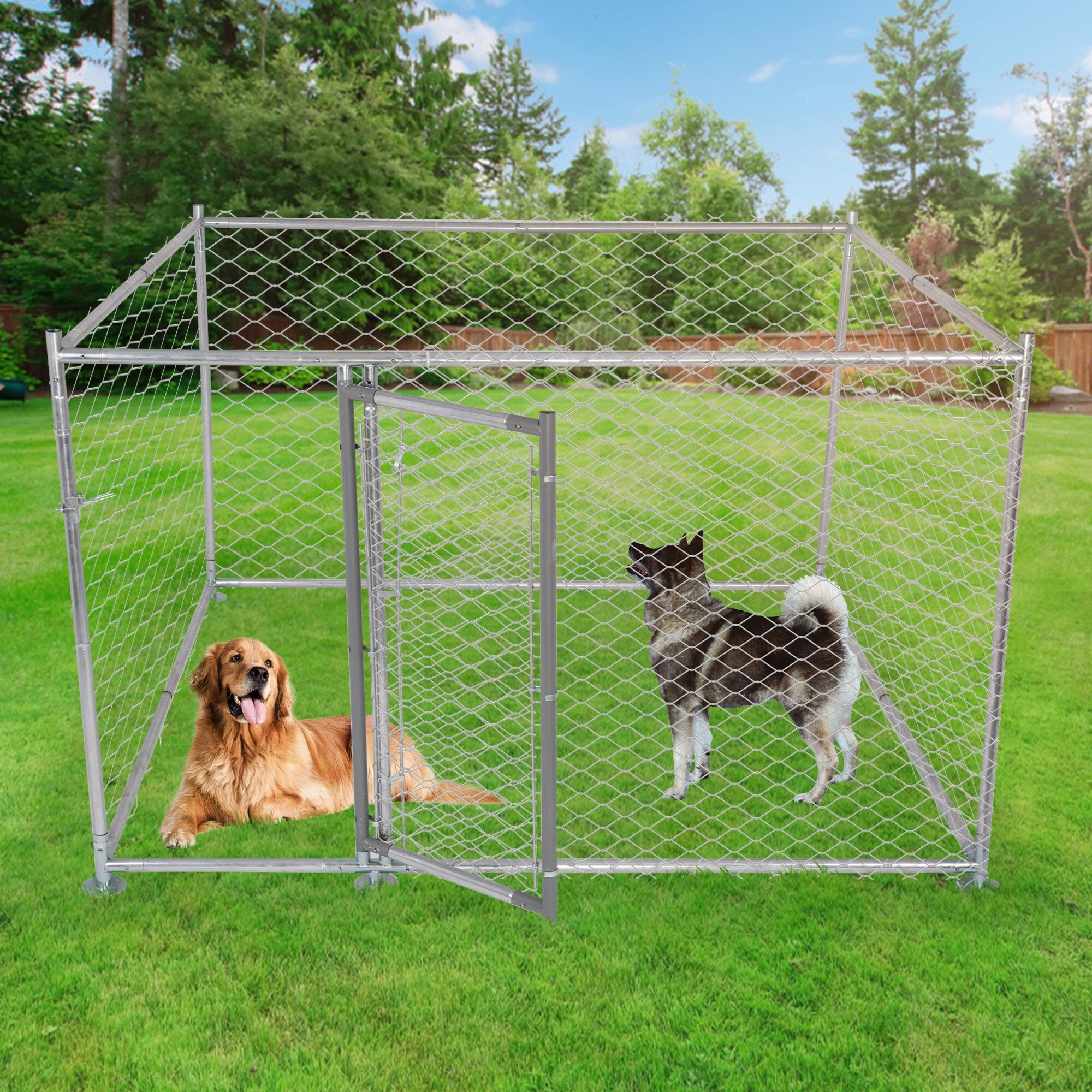 https://assets.wfcdn.com/im/05647446/compr-r85/1427/142756223/metal-dog-kennel-outdoor-for-large-dog-easy-to-clean-rust-resistance-dog-crate-with-lockable-dog-gate.jpg