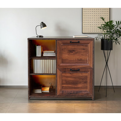 31.5'' Wide 2 -Drawer Lateral Filing Cabinet