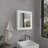 Luma Medicine Cabinet With Mirror Door 20.5" High Cabinet Organizer With Two Interior Shelves  For Bathroom, Kitchen, Mudroom-557979481