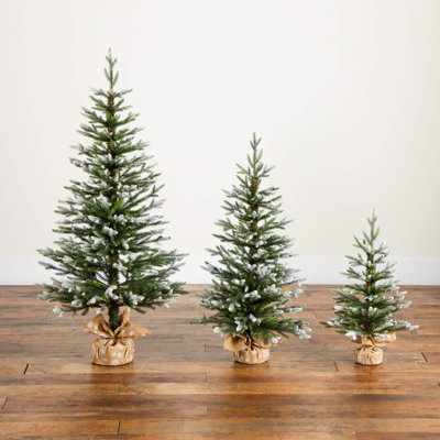 Balsam 4' Fir Christmas Tree