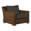 Montauk Patio Chair with Cushions-93646989-83260131-120640854