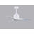 Nan 42" Ceiling Fan In Blades-12185776-61451709