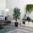 65'' Faux Palm Tree in Stone Planter