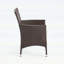 Chaises de salle à manger d'extérieur en osier PE multibrown, résistantes aux intempéries et confortables pour tout patio (ensemble de 2)
