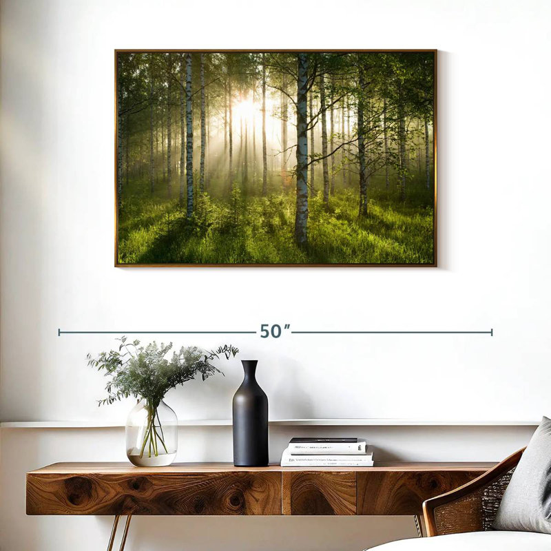Birch Forest Sunlight, Cadre flottant doré, 37 po x 25 po