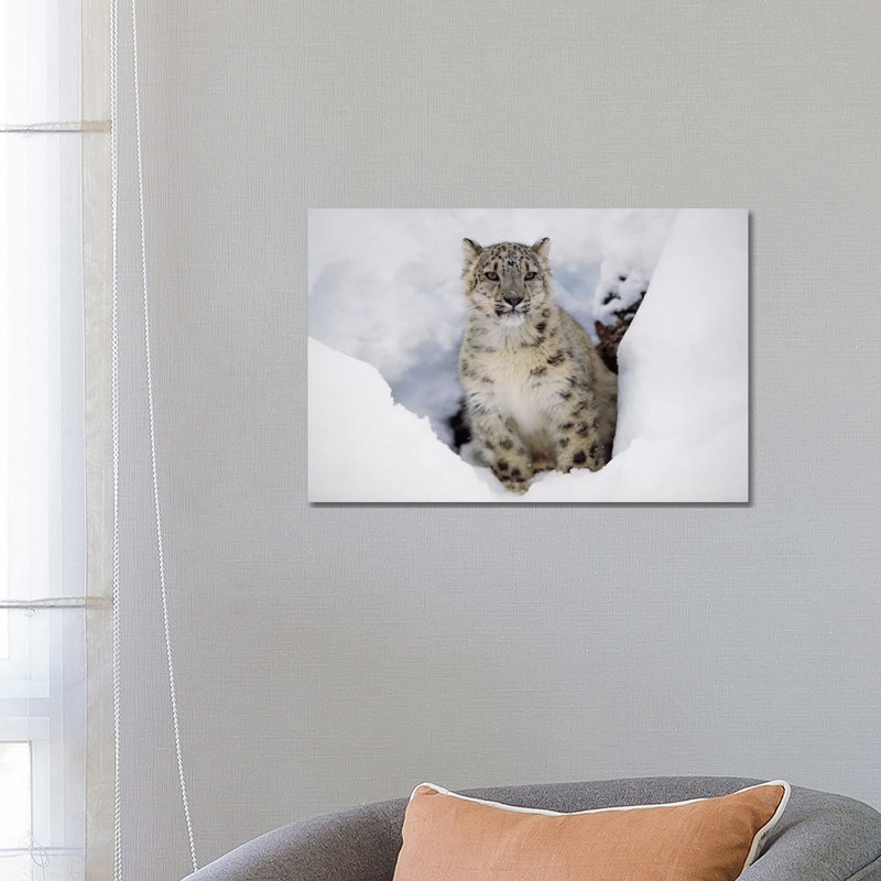 Snow Leopard In Snow, Native To Asia by Tim Fitzharris - Wrapped Canvas Print, 66.04 cm H x 45.72 cm W x 1.91 cm D