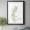 " Fresh Sprig Rosemary " Painting Print