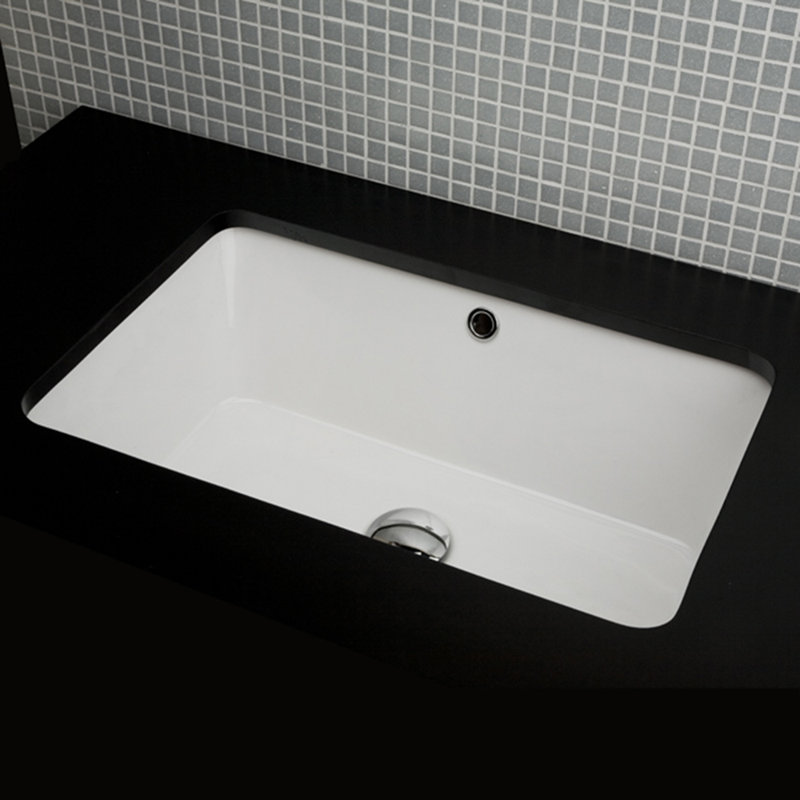 Aquagrande 23.62'' L Bathroom Sink