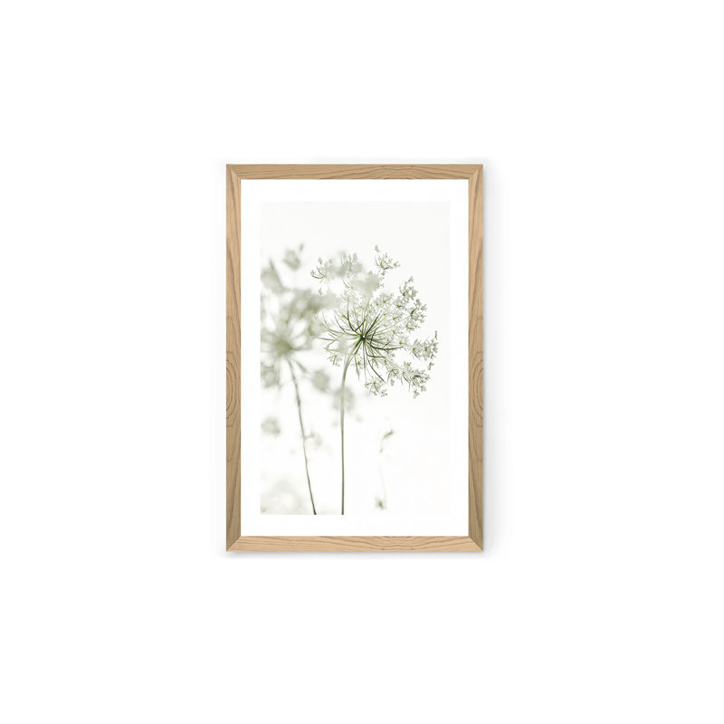 Peinture décorative