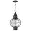 Jolie 1-Light Outdoor Hanging Lantern-205436695
