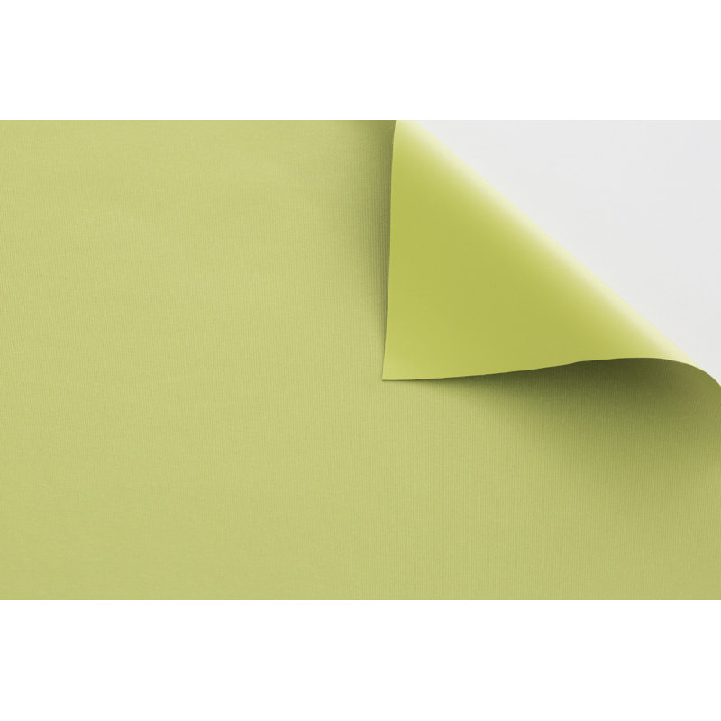 Blackout Roller shade, 175 cm L x 160 cm W, Pistachio