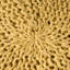 Pouf rond en coton 20 x 20 YUNY