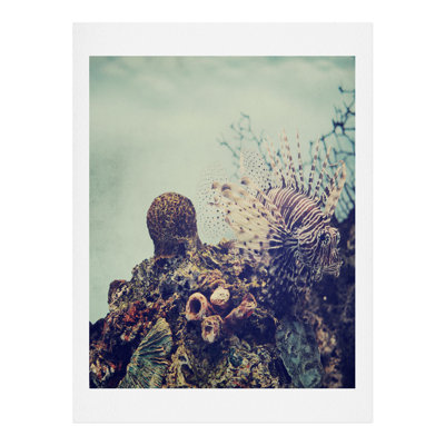 « aqua life », impression