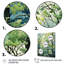 «Green Tree American Basswood Spring Blooms IV», art mural arbre-367398391-403872117