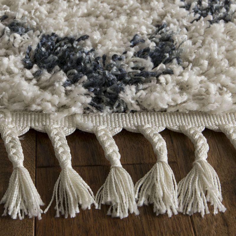 Tapis à poils longs Hartwick, Rectangle 2 pi 6 po x 4 pi