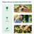 Outsunny 71" X 36" X 28" Mini Greenhouse Portable Hot House For Plants With Large Zipper Windows For Outdoor