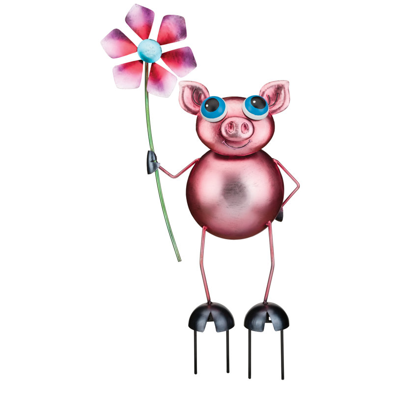 Piquet de cour arrière, Cochon