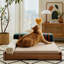 Lit en bois pour animaux de compagnie pour chats et chiens, tissu résistant aux rayures, coussin amovible-90782385-90782399