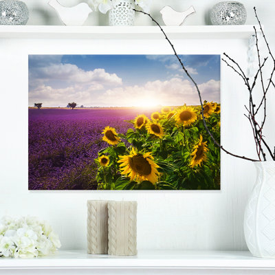 «Lavender and Sunflower Fields», reproduction de photo sur toile tendue
