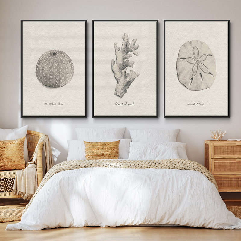 " Shore Treasure Study I " 3 - Pieces, 27" H x 54" W, Black