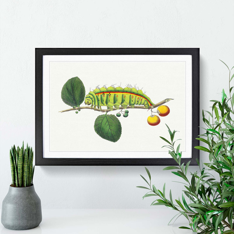 Caterpillar by George Shaw - Framed Print, 27cm H x 36cm W x 2cm D, Black Framed