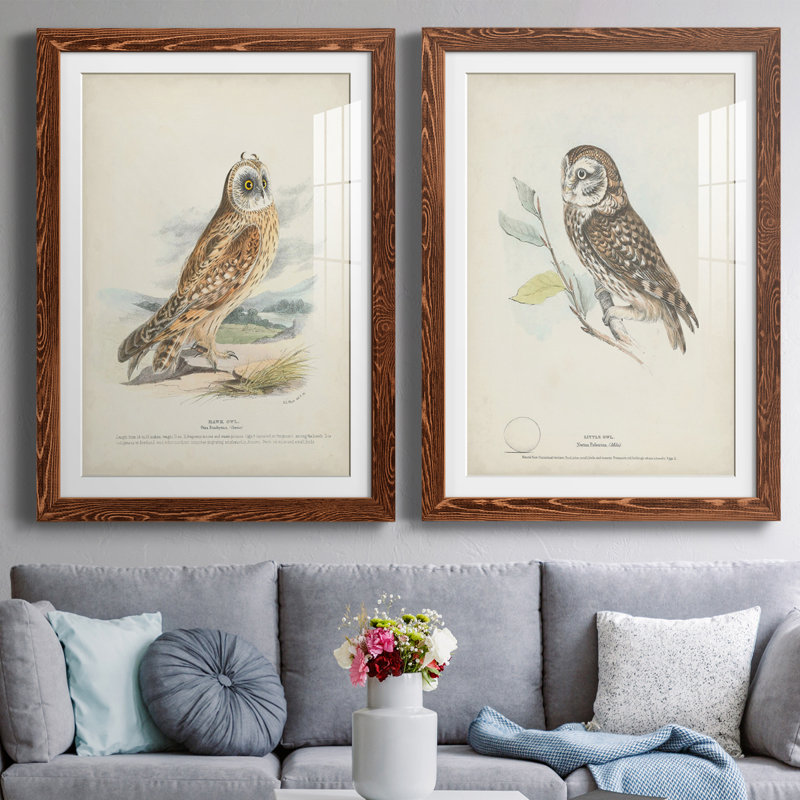 Hawk Owl Premium encadré mat - prêt à être accroché, H 43,5 po x l 31,5 po x P 1 po, Érable