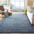 Callista Performance Southwestern Rug-496261664